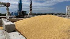 ضربة روسية تدمر مخزن حبوب في أوديسا وأخرى أوكرانية تصيب مستودع ذخائر بالقرم