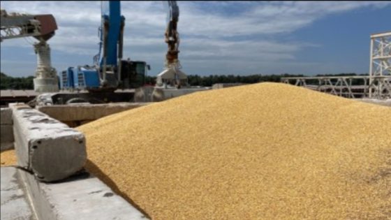 ضربة روسية تدمر مخزن حبوب في أوديسا وأخرى أوكرانية تصيب مستودع ذخائر بالقرم