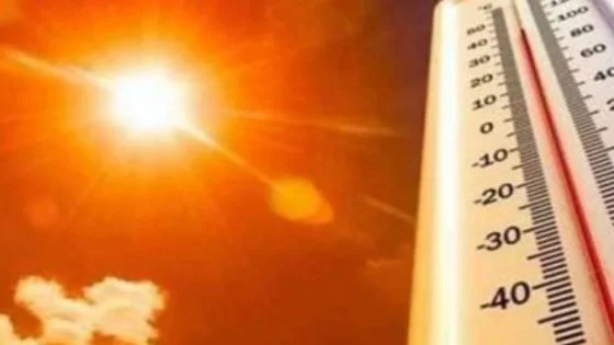 الحرارة المتوقعة.. ليوم الإثنين 31 يوليوز بمناطق من المملكة