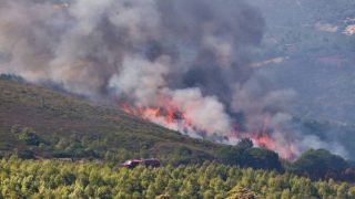 الحرائق تهدد غابات المملكة بسبب موجة الحر الشديد