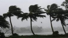 توقعات الطقس ليوم غد الثلاثاء: هبوب رياح قوية وهطول أمطار متفرقة في مناطق متفرقة من المملكة