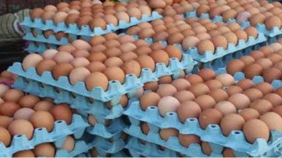 سبب الزيادة الجديدة في أسعار البيض نتيجة لارتفاع الطلب وانخفاض الإنتاج