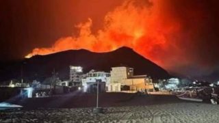 اندلاع حريق في غابات منطقة “عش الباز” في الجزائر