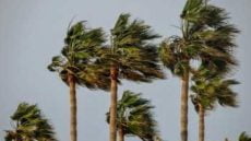 التوقعات الجوية لليوم الاثنين في مختلف مناطق المملكة