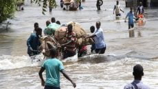 فيضانات قوية تودي بحياة 31 شخصا ونزوح أكثر من نصف مليون في الصومال