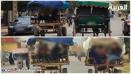 العربات المجرورة بالدواب -الكاروات- تعرقل السير وتهدد حياة المواطنين بالشوارع الرئيسية لمدينة الخميسات