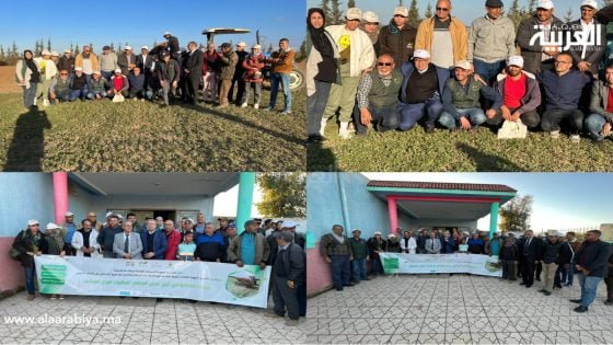 يوم تحسيسي لاستعمال البذر المباشر بسيدي يحيى زعير