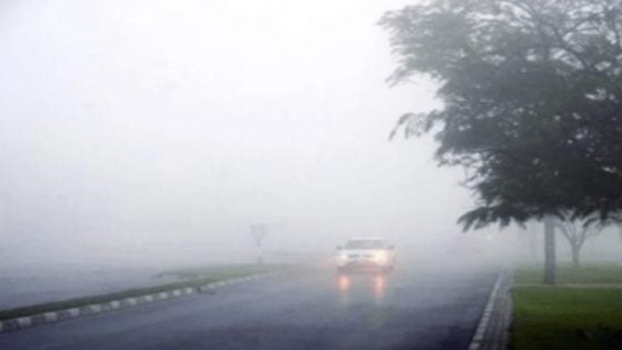 توقعات الطقس ليوم غد الجمعة: برودة مع فرصة للأمطار والضباب