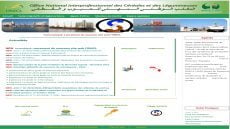 المكتب الوطني المهني للحبوب والقطاني يعلن عن تطوير وسائطه الرقمية ويطلق موقعه الإلكتروني الجديد