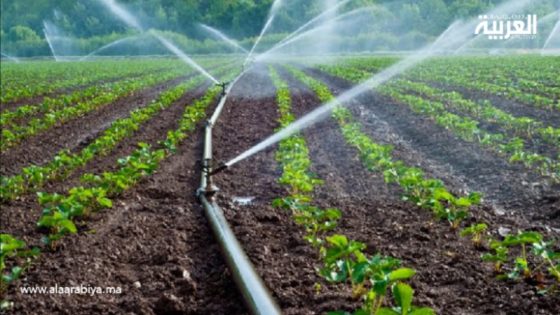 تكنولوجيا تحلية مياه البحر تنقذ الزراعة في المغرب: مشاريع السقي للمناطق الجافة