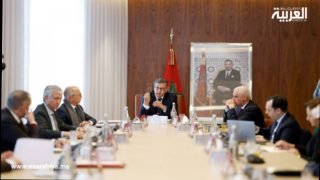 تفصيل أنشطة المجلس الحكومي: الإحصاء السكاني، التأمينات، وتعيينات عليا