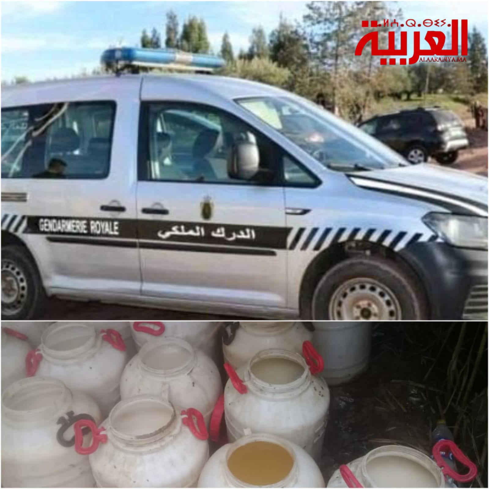 الدرك الملكي البحراوي يحجز 10 آلاف لتر من “الماحيا’ بجماعة عين الجوهرة تيفلت تزامنا من رأس السنة