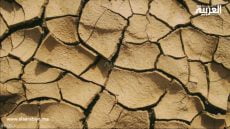 تقرير يتوقع مستقبل الزراعة في المغرب: ثلاث سيناريوهات تواجه تحديات الجفاف والتحول الاقتصادي