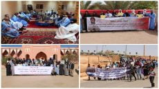 طاطا: محاولات تحديد إداري لصالح سلاليات يُخرج قبيلة دوبلال للاحتجاج