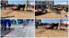الفوضى و الكراريس و الخيول أمام مسجد الحسن الثاني بالصخيرات