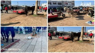 الفوضى و الكراريس و الخيول أمام مسجد الحسن الثاني بالصخيرات
