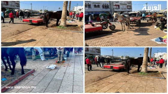 الفوضى و الكراريس و الخيول أمام مسجد الحسن الثاني بالصخيرات