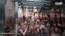 المجزرة البلدية بالخميسات في وضع كارثي يخالف السلامة الصحية للمواطنين ويشهد شهود من أهلها