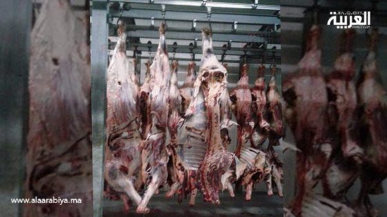 المجزرة البلدية بالخميسات في وضع كارثي يخالف السلامة الصحية للمواطنين ويشهد شهود من أهلها