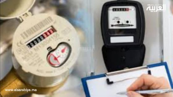 الشركات الجهوية المتعددة الخدمات : أي دور في التنمية الترابية