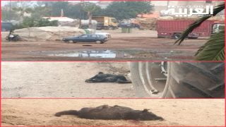 المعازيز تستفيق يوم الجمعة على الرصاص والهلع؟!