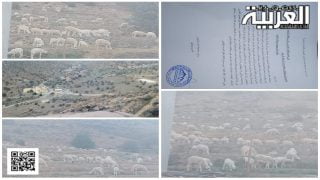 الرعي الجائر يغضب سكان إلماتن ضواحي تزنيت مع تنظيم وقفة احتجاجية أمام مقر القيادة 
	