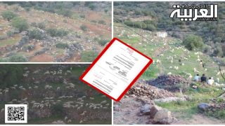 تزنيت..ماشية الرعاة الرحل تفسد المسالك الطرقية وتتلف مغروسات الساكنة