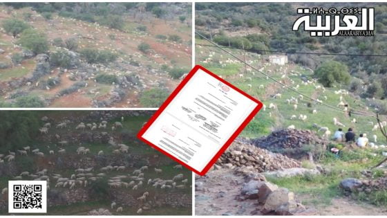 تزنيت..ماشية الرعاة الرحل تفسد المسالك الطرقية وتتلف مغروسات الساكنة