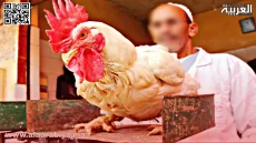 ارتفاع أسعار الدجاج