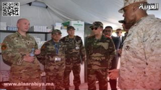 الأسد الإفريقي 2024