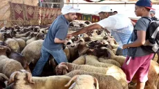 عطلة عيد الأضحى بالمغرب 2024
