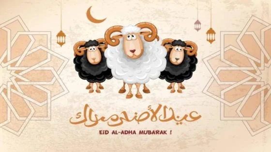 أجمل عبارات ورسائل تهنئة عيد الأضحى 2024