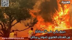 حريق أتي على 25 هكتارا من الغطاء الغابوي ضواحي بركان
