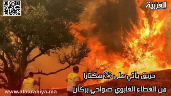 حريق أتي على 25 هكتارا من الغطاء الغابوي ضواحي بركان