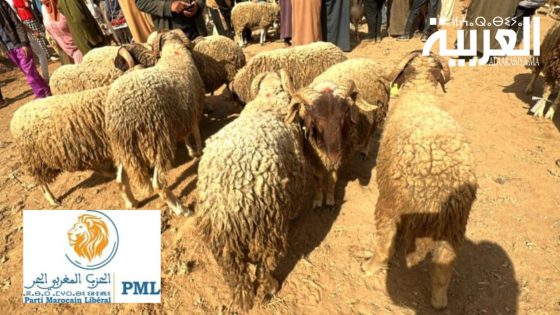 مشاكل عيد الأضحى.. الحزب المغربي الحر يندد بسياسة الحكومة ويحملها مسؤولية ترك المواطنين عرضة لعصابات السمسرة في الأضاحي