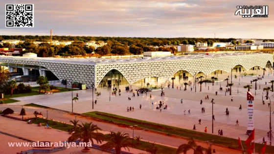 مدينة القنيطرة