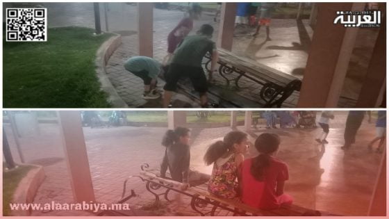 رياض المنارة