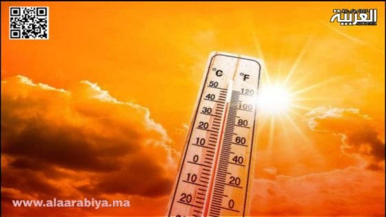 المديرية العامة للأرصاد الجوية .. أجواء حارة يوم غد الأربعاء