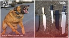 الأسلحة البيضاء والكلاب الشرسة
