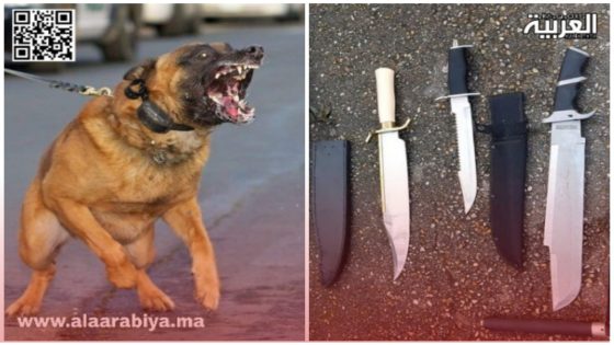الأسلحة البيضاء والكلاب الشرسة