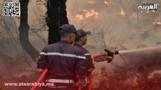 حرائق الغابات.. خطورة “متوسطة” إلى “قصوى” من 29 إلى 31 يوليوز تهدد عدة أقاليم مغربية 