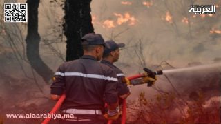 حرائق الغابات.. خطورة “متوسطة” إلى “قصوى” من 29 إلى 31 يوليوز تهدد عدة أقاليم مغربية 
	