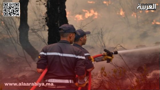 حرائق الغابات.. خطورة “متوسطة” إلى “قصوى” من 29 إلى 31 يوليوز تهدد عدة أقاليم مغربية 