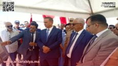 قيادتي لمسيد وكلثة زمور