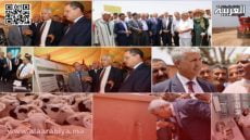 استراتيجية الجيل الأخضر