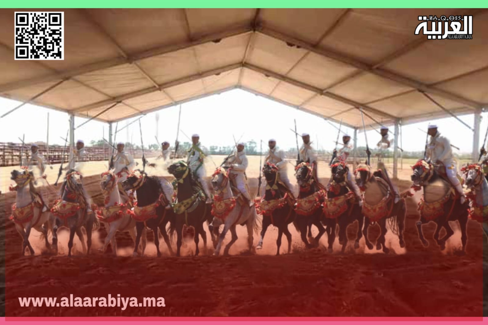 التبوريدة بإقليم الجديدة تخلق حدثا تاريخيا لحماية الفرسان