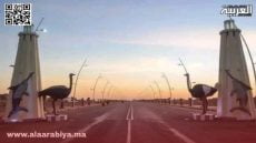 مدينة بوجدور