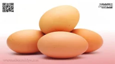 ارتفاع أسعار البيض يضاعف غضب المواطنين المغاربة