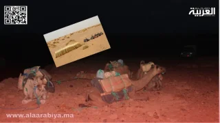 القوات المسلحة الملكية تجهض محاولات تهريب المخدرات عبر الحدود الشرقية