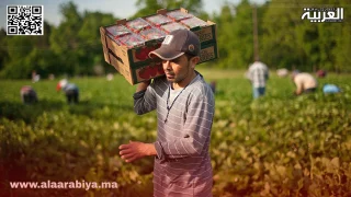 فرنسا تراهن على العمالة الموسمية المغربية لسد النقص في القطاع الزراعي “حاجة إلى 800 ألف عامل”